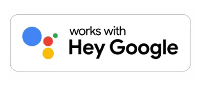 works with google voice